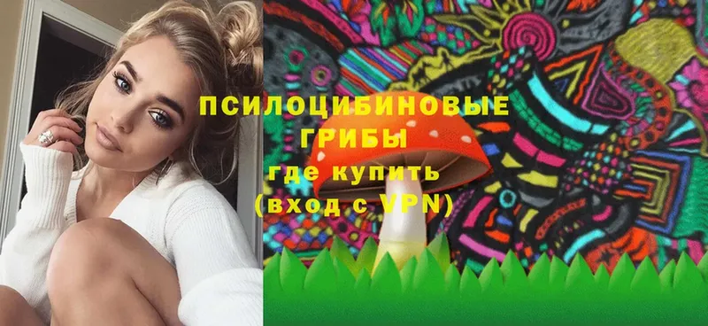 Галлюциногенные грибы Psilocybe  как найти наркотики  Рязань 